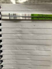 Opk guidance pls!