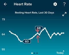 Tracking your cycle and possible BFP using RHR - part 6
