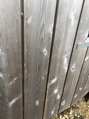 Something “eating” cedar cladding - help!