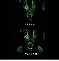 Funny Meme's