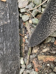 Advice needed for dealing with damp/mould issues