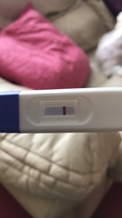 Positive self check pregnancy test?