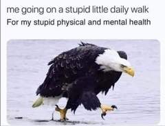 Funny Meme's