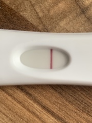 Evap line or pregnant?
