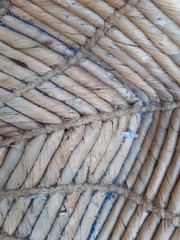 What the hell has been living in my woollens basket?
