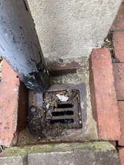 Advice needed for dealing with damp/mould issues