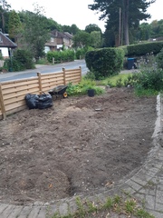 Turning over a long-neglected border for planting