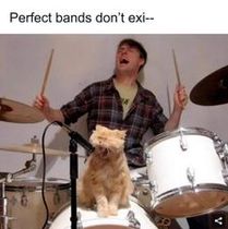 Funny Meme's