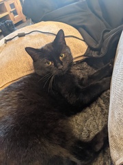 Can't won't stop scratching (picture warning)