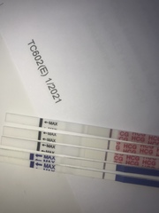 All these lines ? Evaps indents ?