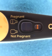 Cycle buddy - ovulated yesterday, 1dpo today