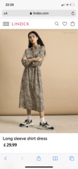 Autumn dress