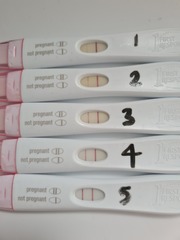 TTC bus 🚌 47 for all them odd b*tches who DON’T ovulate on CD14 🍳