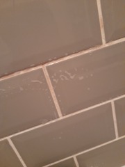 Bloody grout discoloured