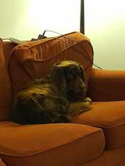 A decent Scottish breakfast in Edinburgh