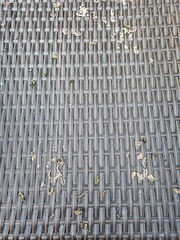 What has been living under my patio table? (with pics)