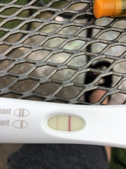 Loss of early pregnancy symptoms at 3 weeks 5 days help