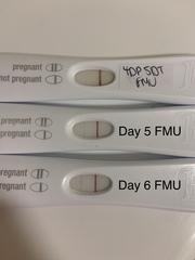 AF cramps in early pregnancy or false positive?