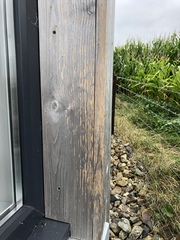 Something “eating” cedar cladding - help!