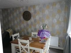 How tidy do you get your house every day?