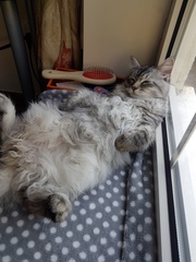 Plans for the day