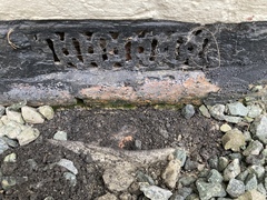 Advice needed for dealing with damp/mould issues