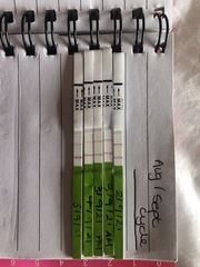 Opk guidance pls!