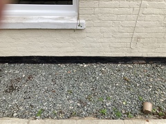 Advice needed for dealing with damp/mould issues