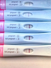 12dp5dt - does this look viable?