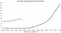 Data, Stats and Daily Numbers started 30th August 2021