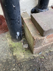 Advice needed for dealing with damp/mould issues