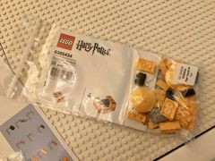 Lego and Harry Potter fans freebie