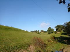 Walking for exercise/ mental and physical health/ as a hobby