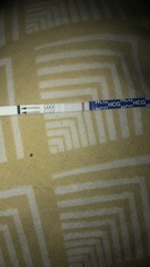 Positive self check pregnancy test?