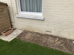 Advice needed for dealing with damp/mould issues