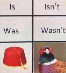 Funny Meme's