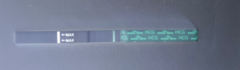 *confused* faint positive?