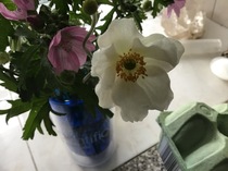 Any Witches Here? Part 15