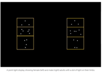 Posie Parker's latest - Glasgow