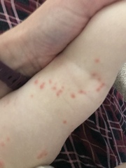What is this?