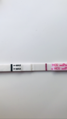 Is this a line ? Am I pregnant