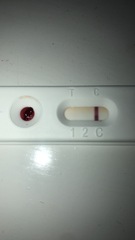 Positive self check pregnancy test?