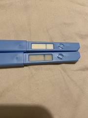 Period late, positive ovulation EWCM