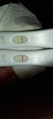 Indent or Faint Positive