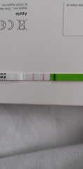One Step OPK & HCG