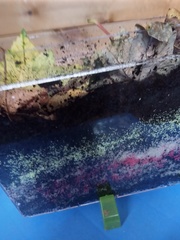 Trapped toddler parents: Inspiration and support needed through the summer hols!!