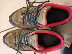 Walking for exercise/ mental and physical health/ as a hobby