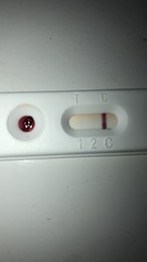 Positive self check pregnancy test?