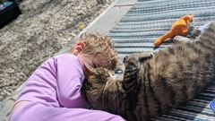 Cat lymphoma - what's the course