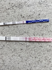 Pregnancy after miscarriage